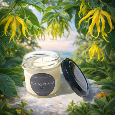 bougie parfume ilumano ylang