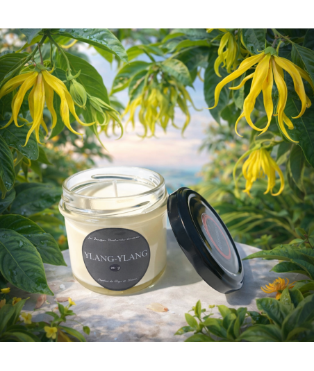 bougie parfume ilumano ylang
