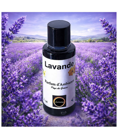 extrait parfum lavande