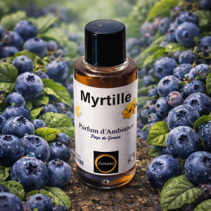 Parfum ambiance myrtille